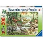 Puzzle200